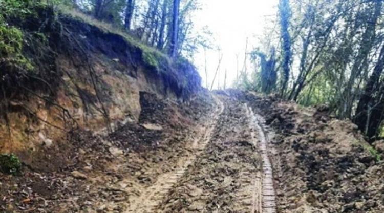 ورود میدانی دادگستری مازندران به ادعای مربوط به ساخت و ساز غیرمجاز در جنگل‌های هیرکانی بابل