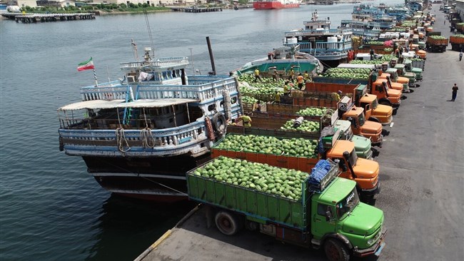 وضعیت تجارت خارجی بخش کشاورزی در 9 ماه ابتدایی 1404 بررسی شد | نقش کلیدی واردات در تأمین امنیت غذایی پایدار