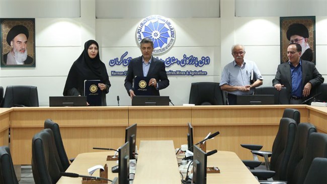 مستندسازی اصالت فرش کرمان نیازمند عزم همگانی است