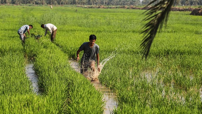 تقویم نمایشگاه‌های 2026 اروگوئه