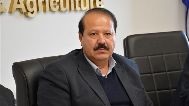  حذف ارز ترجیحی بدون تأمین سرمایه در گردش، تولید را در تنگنای جدی قرار داده است