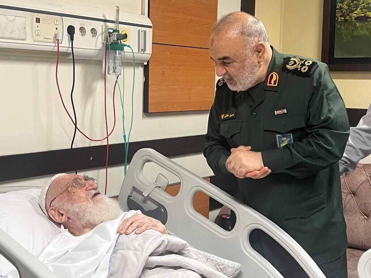 فرمانده کل سپاه از آیت الله نوری همدانی عیادت کرد