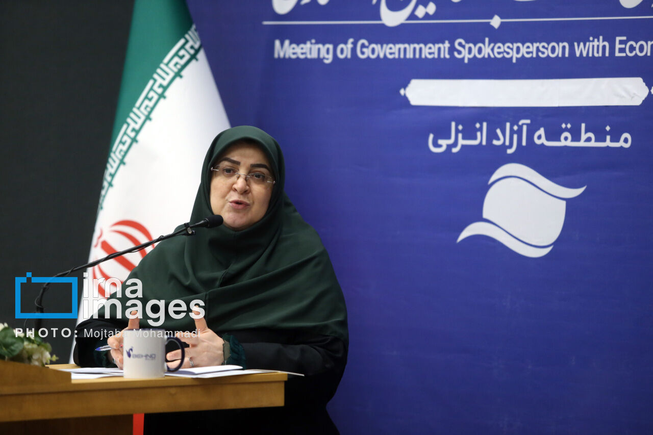 مهاجرانی: دولت صرفه‌جویی در مصرف برق را از خود آغاز کرده است
