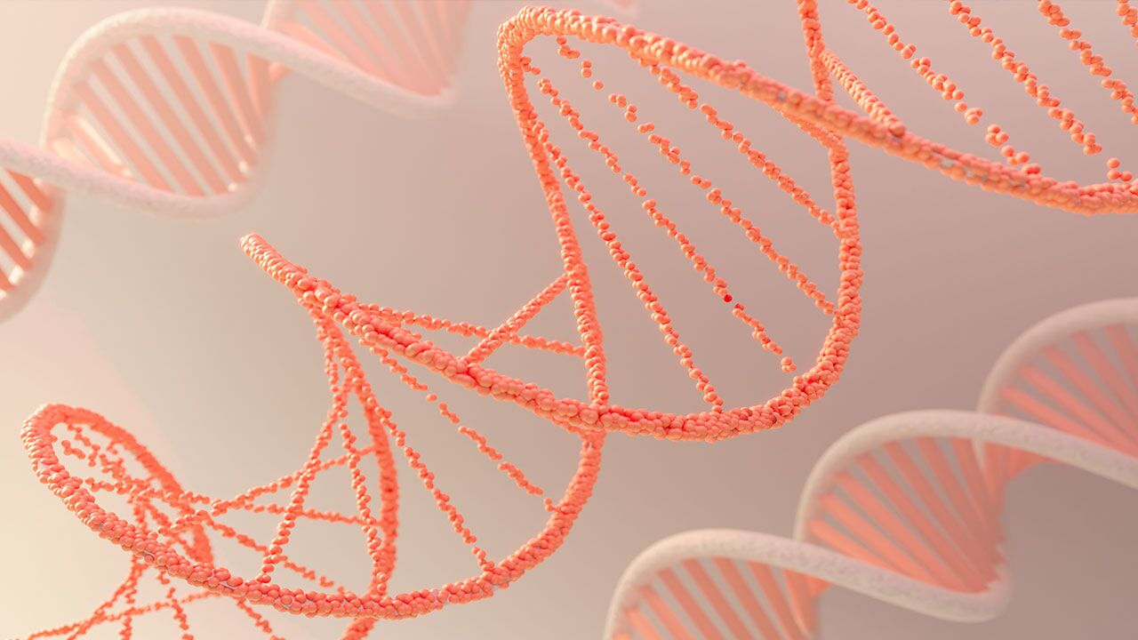 بررسی انتقال RNA به نقاطی فراتر از کبد برای درمان سرطان