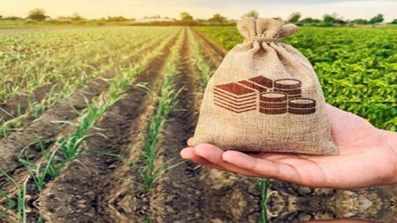 ثبت رکورد جدید پرداخت غرامت صندوق بیمه بدون اتکا به بانک کشاورزی