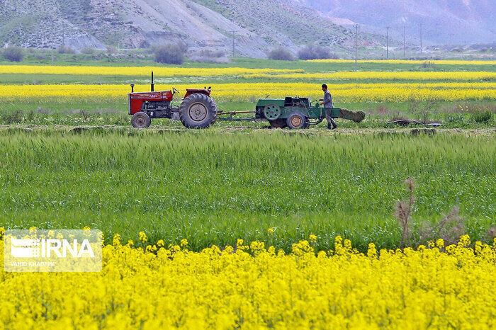 توسعه کشاورزی قراردادی در زنجیره تأمین سه محصول راهبردی
