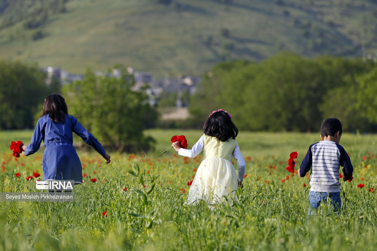 بیش از ۲۱ همت وام ازدواج و فرزندآوری از ابتدای امسال پرداخت شد